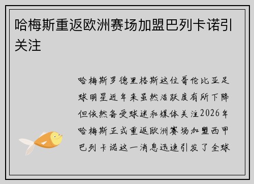 哈梅斯重返欧洲赛场加盟巴列卡诺引关注 哈梅斯重返欧洲赛场加盟巴列卡诺引关注